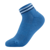 PRO STEP2 Blue.png